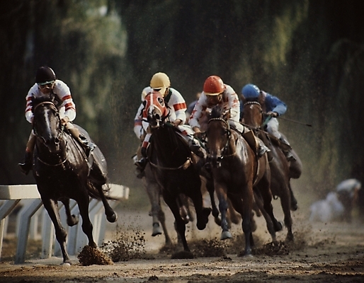 포토 JPG 주간 동물 육지동물 남자 스포츠 올림픽 포유류 하계올림픽 사람 경기 여러명 야외 레포츠 말_동물 기수 경마 경마장 남자만 국내포토 자연요소 다수 레저 파일형식
