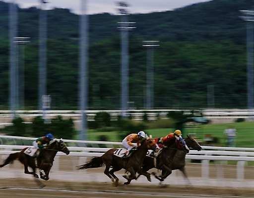 포토 JPG 주간 동물 육지동물 남자 스포츠 올림픽 포유류 하계올림픽 사람 경기 야외 세명 레포츠 말_동물 기수 경마 경마장 남자만 국내포토 자연요소 레저 파일형식
