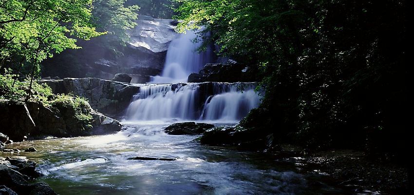 포토 JPG 주간 사계절 계절 자연 산 풍경 사람없음 야외 여름 골짜기 계곡 폭포 국내포토 자연요소 생태계 파일형식