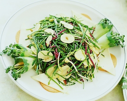 포토 JPG 스튜디오촬영 한국문화 한식 음식 채소 한국 사람없음 샐러드 무침 생채 국내포토 동양문화 아시아 실내 파일형식