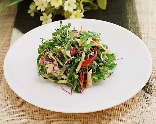 포토 JPG 스튜디오촬영 한국문화 한식 음식 채소 한국 사람없음 샐러드 무침 생채 국내포토 동양문화 아시아 실내 파일형식