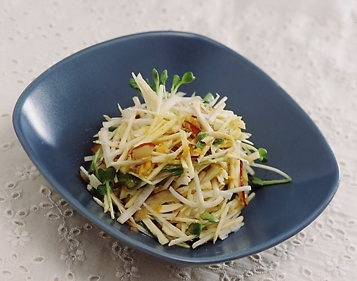 포토 JPG 스튜디오촬영 한국문화 한식 음식 채소 한국 사람없음 샐러드 무침 생채 국내포토 동양문화 아시아 실내 파일형식