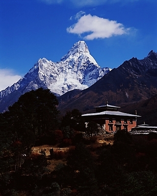 포토 JPG 주간 해외 시설물 건축물 계절 건축 아시아 외국문화 고건축 겨울 해외건축 자연 산 풍경 사람없음 야외 건물 관광지 동양건축 인도 인도문화 인도건축 국내포토 자연요소 동양문화 나라 문화 여행 인도_나라 생태계 파일형식 동양