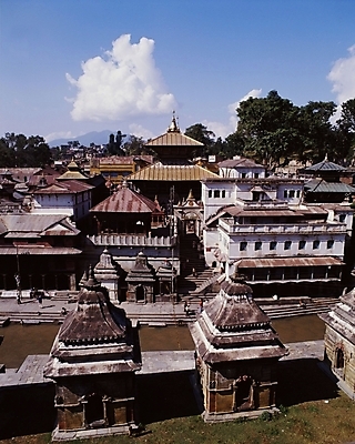 포토 JPG 주간 해외 시설물 건축물 건축 아시아 외국문화 고건축 해외건축 거리 사람 풍경 야외 건물 관광지 동양건축 사찰 사원 보행자 인도 인도문화 인도건축 국내포토 자연요소 동양문화 나라 문화 여행 비즈니스 종교건축 인도_나라 파일형식 동양