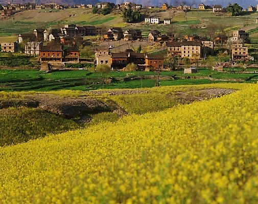 포토 JPG 주간 해외 건축물 사계절 계절 아시아 외국문화 자연 주택 풍경 초원 사람없음 야외 건물 관광지 마을 봄 인도 국내포토 자연요소 건축 나라 문화 여행 생태계 파일형식