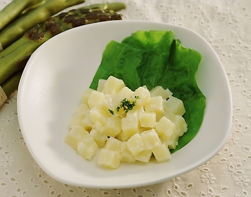 포토 JPG 스튜디오촬영 음식 서양음식 사람없음 샐러드 감자샐러드 국내포토 실내 파일형식