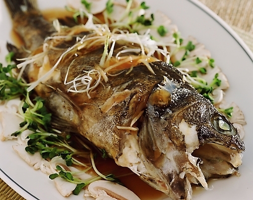 포토 JPG 스튜디오촬영 한식 음식 사람없음 찜 조림 생선조림 생선찜 국내포토 실내 파일형식