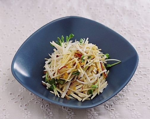 포토 JPG 스튜디오촬영 한국문화 한식 음식 채소 한국 사람없음 샐러드 무침 생채 국내포토 동양문화 아시아 실내 파일형식