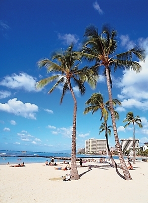 포토 JPG 주간 나무 식물 구름 해외풍경 건축물 사계절 계절 건축 바다 여행 자연 하늘 휴식 사람 풍경 여러명 해변 야외 건물 여름 관광지 모래사장 야자수 숙박업 휴양지 콘도 국내포토 자연요소 해외 산업 다수 컨셉 숙소 장소 생태계 파일형식