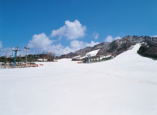 포토 JPG 주간 구름 시설물 계절 현대건축 건축 배경화면 백그라운드 설경 겨울 스포츠시설 자연 하늘 리조트 스키 겨울스포츠 스키장 산 풍경 사람없음 야외 레포츠 눈 대설 국내포토 자연요소 건축물 스포츠 레저 날씨 절기 시설 생태계 파일형식