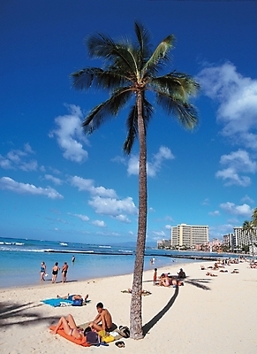 포토 JPG 주간 나무 식물 구름 해외풍경 사계절 계절 여유 파도 바다 여행 자연 하늘 휴가 사람 풍경 해변 야외 건물 여름 모래사장 야자수 휴양지 콘도 국내포토 자연요소 해외 건축물 감정 숙소 장소 생태계 파일형식