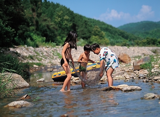 포토 JPG 주간 나무 식물 사계절 계절 여자 남자 어린이 자연 물놀이 산 사람 야외 세명 여름 계곡 그물 고기잡이 어린이만 국내포토 자연요소 놀이 어업 생태계 파일형식