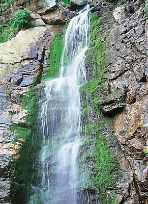 포토 JPG 주간 사계절 계절 배경화면 백그라운드 자연 산 이끼 풍경 사람없음 야외 여름 폭포 국내포토 자연요소 생태계 파일형식