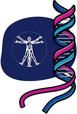 EPS 클립아트 교육 과학 일러스트 교과목 의학 생물 사람없음 치료 DNA 생물학 염색체 과학교육 이중나선구조 국내일러스트 생명공학 파일형식 벡터