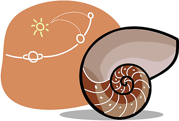 EPS 클립아트 교육 과학 일러스트 교과목 사람없음 글로벌 화석 과학교육 지구과학 암모나이트 지질학 국내일러스트 파일형식 벡터