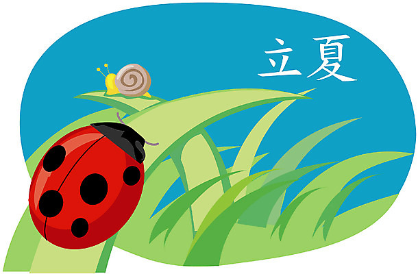 EPS 주간 클립아트 사계절 계절 곤충 절지류 일러스트 사람없음 야외 여름 절기 달팽이 무당벌레 입하 국내일러스트 자연요소 동물 연체동물 파일형식 벡터