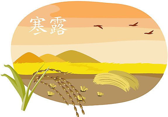 EPS 주간 클립아트 사계절 계절 일러스트 자연 곡류 논 풍경 사람없음 야외 벼 가을 절기 한로 국내일러스트 자연요소 농업 생태계 파일형식 벡터