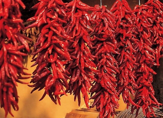 포토 JPG 주간 음식 배경화면 백그라운드 채소 식재료 자연 고추 풍경 사람없음 야외 빨간색 홍고추 추분 말린고추 국내포토 자연요소 컬러 절기 생태계 파일형식