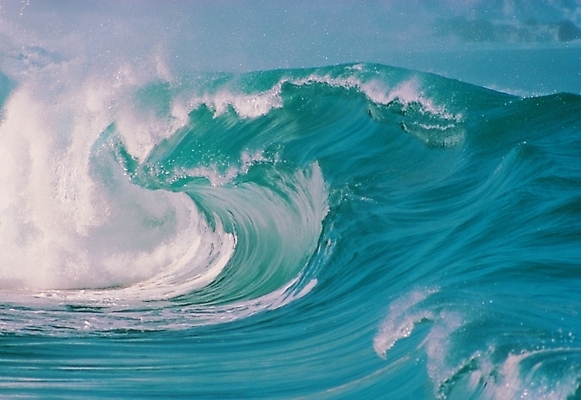 포토 JPG 주간 파도 바다 배경화면 백그라운드 자연 풍경 사람없음 야외 국내포토 자연요소 생태계 파일형식