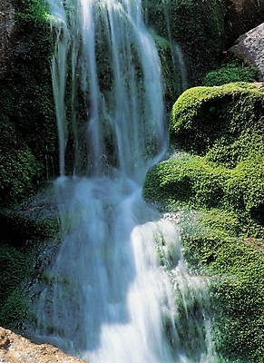 포토 JPG 주간 배경화면 백그라운드 자연 산 물줄기 이끼 풍경 사람없음 야외 폭포 국내포토 자연요소 물 생태계 파일형식