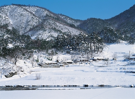 포토 JPG 주간 나무 식물 사계절 계절 배경화면 백그라운드 설경 겨울 자연 하늘 산 한옥 주택 풍경 사람없음 야외 마을 시골 눈 산촌 국내포토 자연요소 한국전통 고건축 날씨 건물 생태계 파일형식