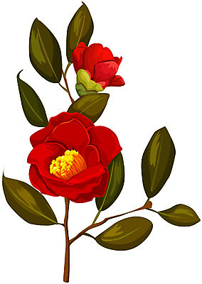 EPS 클립아트 식물 꽃 겨울 일러스트 여름꽃 자연 사람없음 빨간색 두송이 채송화 국내일러스트 계절 컬러 2 생태계 파일형식 벡터 여름_계절