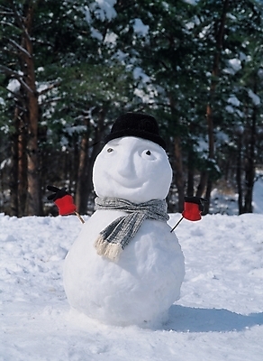 포토 JPG 주간 나무 식물 사계절 계절 배경화면 백그라운드 크리스마스 겨울 자연 눈사람 풍경 사람없음 야외 눈 대설 국내포토 자연요소 기념일 날씨 절기 생태계 파일형식