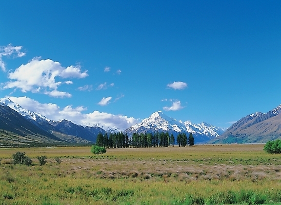 포토 JPG 주간 나무 식물 구름 배경화면 백그라운드 자연 하늘 산 풍경 초원 사람없음 야외 국내포토 자연요소 생태계 파일형식