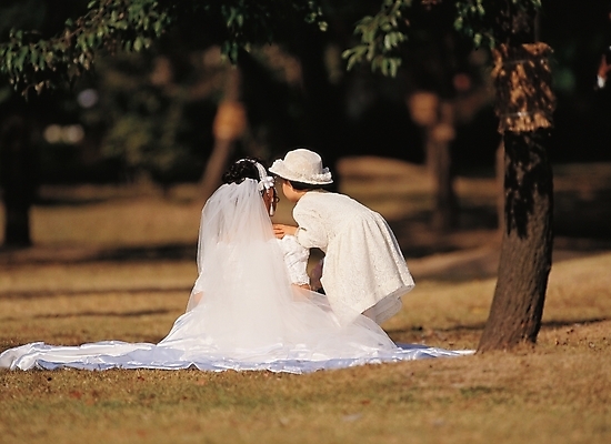 포토 JPG 주간 나무 식물 여자 신부 어린이 웨딩드레스 결혼 잎 나뭇잎 사람 야외 두명 뒷모습 들러리 여자만 어린이만 소녀만 국내포토 자연요소 드레스 뷰포인트 이벤트 하객 파일형식