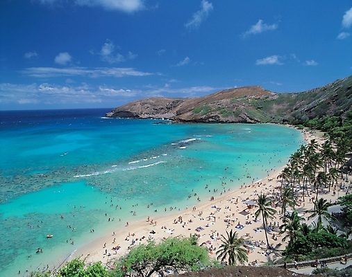 포토 JPG 주간 식물 구름 사계절 계절 파도 바다 섬 자연 하늘 산 사람 풍경 해변 야외 여름 모래사장 야자수 맑음 파라솔 열대식물 휴양지 국내포토 자연요소 나무 날씨 장소 생태계 파일형식