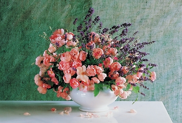 포토 JPG 식물 꽃 사람없음 장식 인테리어 꽃병 꽃꽂이 꽃바구니 국내포토 디자인 바구니 원예 파일형식