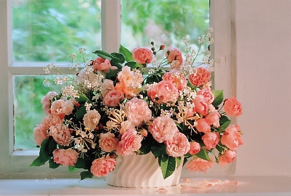 포토 JPG 식물 꽃 창문 사람없음 장식 인테리어 꽃병 꽃꽂이 꽃바구니 국내포토 디자인 바구니 원예 파일형식