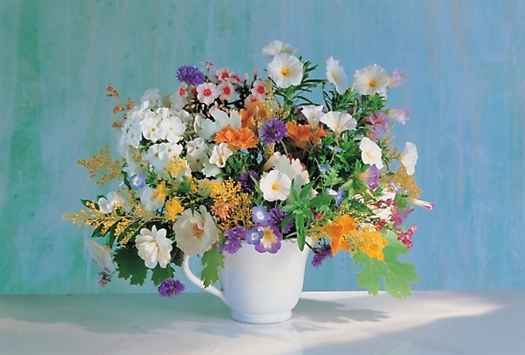 포토 JPG 식물 꽃 사람없음 장식 인테리어 꽃병 꽃꽂이 꽃바구니 국내포토 디자인 바구니 원예 파일형식