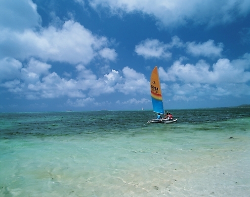 포토 JPG 주간 구름 사계절 계절 남자 스포츠용품 스포츠 바다 백그라운드 요트 자연 하늘 레저 사람 풍경 성인 야외 여름 레포츠 맑음 윈드서핑 수상스포츠 선박 남자만 성인남자만 성인만 국내포토 자연요소 수상교통 배_교통 날씨 오브젝트 생태계 파일형식