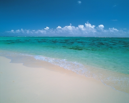 포토 JPG 주간 구름 바다 배경화면 백그라운드 자연 하늘 풍경 해변 사람없음 야외 모래사장 맑음 국내포토 자연요소 날씨 생태계 파일형식