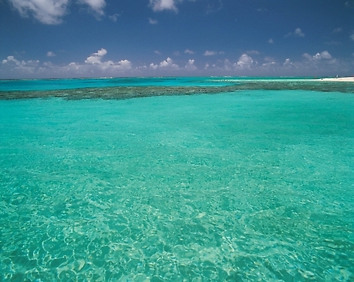 포토 JPG 주간 구름 바다 배경화면 백그라운드 자연 하늘 풍경 사람없음 야외 맑음 국내포토 자연요소 날씨 생태계 파일형식