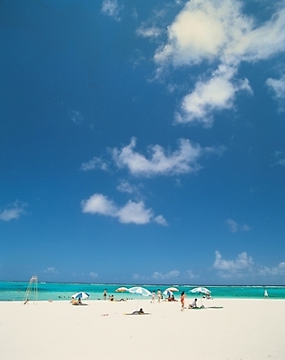 포토 JPG 주간 구름 사계절 계절 바다 자연 하늘 사람 풍경 여러명 해변 야외 여름 모래사장 맑음 파라솔 휴양지 국내포토 자연요소 다수 날씨 장소 생태계 파일형식