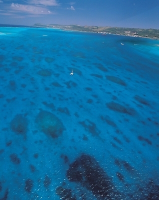 포토 JPG 주간 사계절 계절 바다 섬 백그라운드 자연 풍경 해변 사람없음 야외 여름 모래사장 맑음 바닷속 수중사진 국내포토 자연요소 날씨 수중 생태계 파일형식
