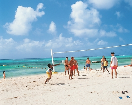 포토 JPG 주간 구름 사계절 계절 남자 바다 공 자연 놀이 하늘 사람 풍경 여러명 성인 해변 야외 여름 모래사장 구기 맑음 네트 비치발리볼 배구 대서 남자만 성인남자만 성인만 국내포토 자연요소 스포츠 다수 날씨 비치볼 절기 생태계 파일형식