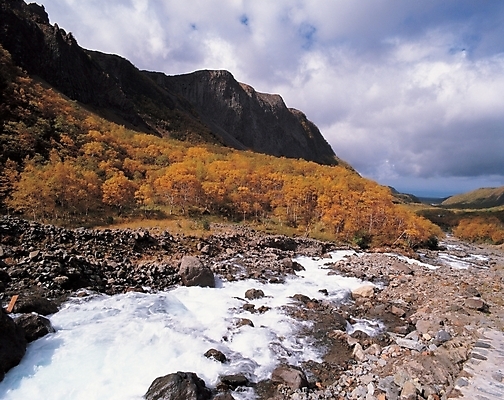 포토 JPG 주간 나무 식물 구름 백그라운드 겨울 자연 하늘 산 여러그루 풍경 사람없음 야외 골짜기 계곡 눈 국내포토 자연요소 계절 다수 날씨 생태계 파일형식