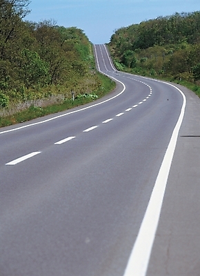 포토 JPG 주간 나무 식물 시설물 현대건축 건축 도로 길 배경화면 백그라운드 자연 하늘 풍경 초원 사람없음 야외 풀 아스팔트 토목 차선_도로 국내포토 자연요소 건축물 교통시설 생태계 파일형식