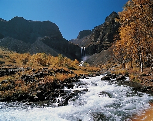 포토 JPG 주간 나무 식물 배경화면 백그라운드 자연 산 풍경 사람없음 야외 물 골짜기 계곡 국내포토 자연요소 생태계 파일형식
