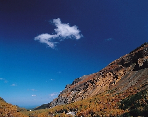 포토 JPG 주간 식물 구름 배경화면 백그라운드 자연 하늘 산 풍경 초원 사람없음 야외 골짜기 풀 국내포토 자연요소 생태계 파일형식