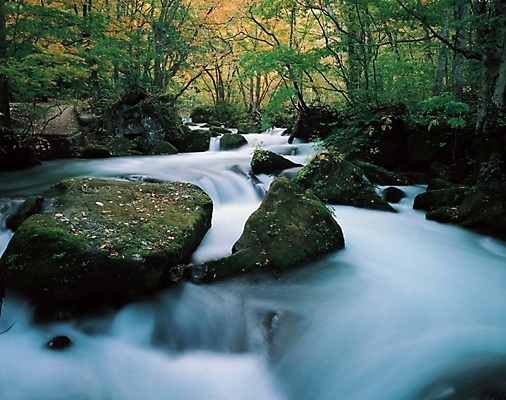 포토 JPG 주간 나무 식물 배경화면 백그라운드 자연 산 풍경 사람없음 야외 물 골짜기 계곡 돌_바위 바위 대서 국내포토 자연요소 절기 생태계 파일형식