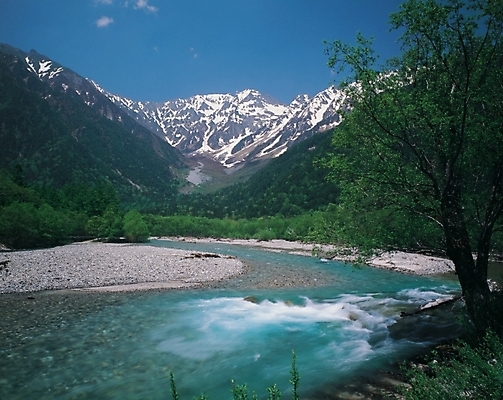 포토 JPG 주간 나무 식물 배경화면 백그라운드 자연 산 여러그루 풍경 사람없음 야외 강 골짜기 계곡 국내포토 자연요소 다수 생태계 파일형식