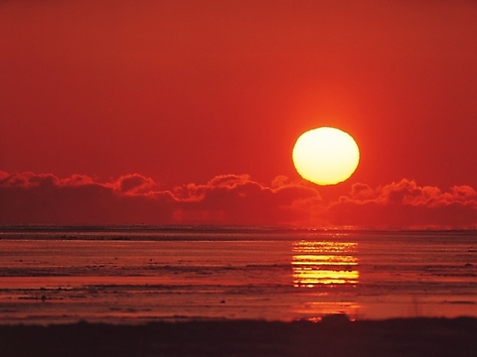 포토 JPG 주간 구름 바다 배경화면 백그라운드 자연현상 자연 하늘 풍경 사람없음 야외 빨간색 태양 일출 노을 일몰 국내포토 자연요소 컬러 생태계 파일형식