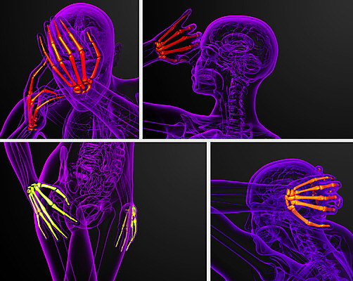 포토 JPG 해외이미지 손 손가락 해부 뼈 골격 건강 손바닥 사람 사람없음 3D 고통 관절염 골다공증 해외202004 해외포토 감정 의학 신체부위 질병 디지털합성 파일형식