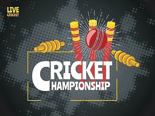 EPS 해외이미지 템플릿 직업 디자인 배너 포스터 스포츠 백그라운드 밭 일러스트 텍스트 공 놀이 성공 경기 취미 야외 빨간색 세계 노란색 검은색 경쟁 경기장 장비 게임 놀이터 트로피 박쥐 대회 귀뚜라미 땅바닥 승자 토너먼트 플레이어 레터링 시리즈 해외202004 해외일러스트 컬러 곤충 컨셉 농업 포유류 스포츠시설 바닥 상_우승 파일형식 벡터