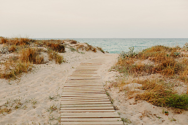 포토 JPG 해외이미지 길 모래 바다 여행 하늘 휴가 휴식 풍경 사람없음 목재 물 여름 울타리 모래사장 일몰 산책 산책로 낭만 모래언덕 파라다이스 수평선 해외202004 해외포토 자연요소 나무 계절 컨셉 재료 담장 노을 언덕 파일형식