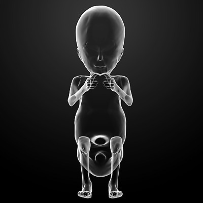 포토 JPG 해외이미지 과학 신체 일러스트 해부 건강 사람 사람없음 3D 임신 성장 아기 일주일 태교 태아 자궁 월 개발 해외202004 해외포토 의학 장기_의학 날짜 디지털합성 파일형식
